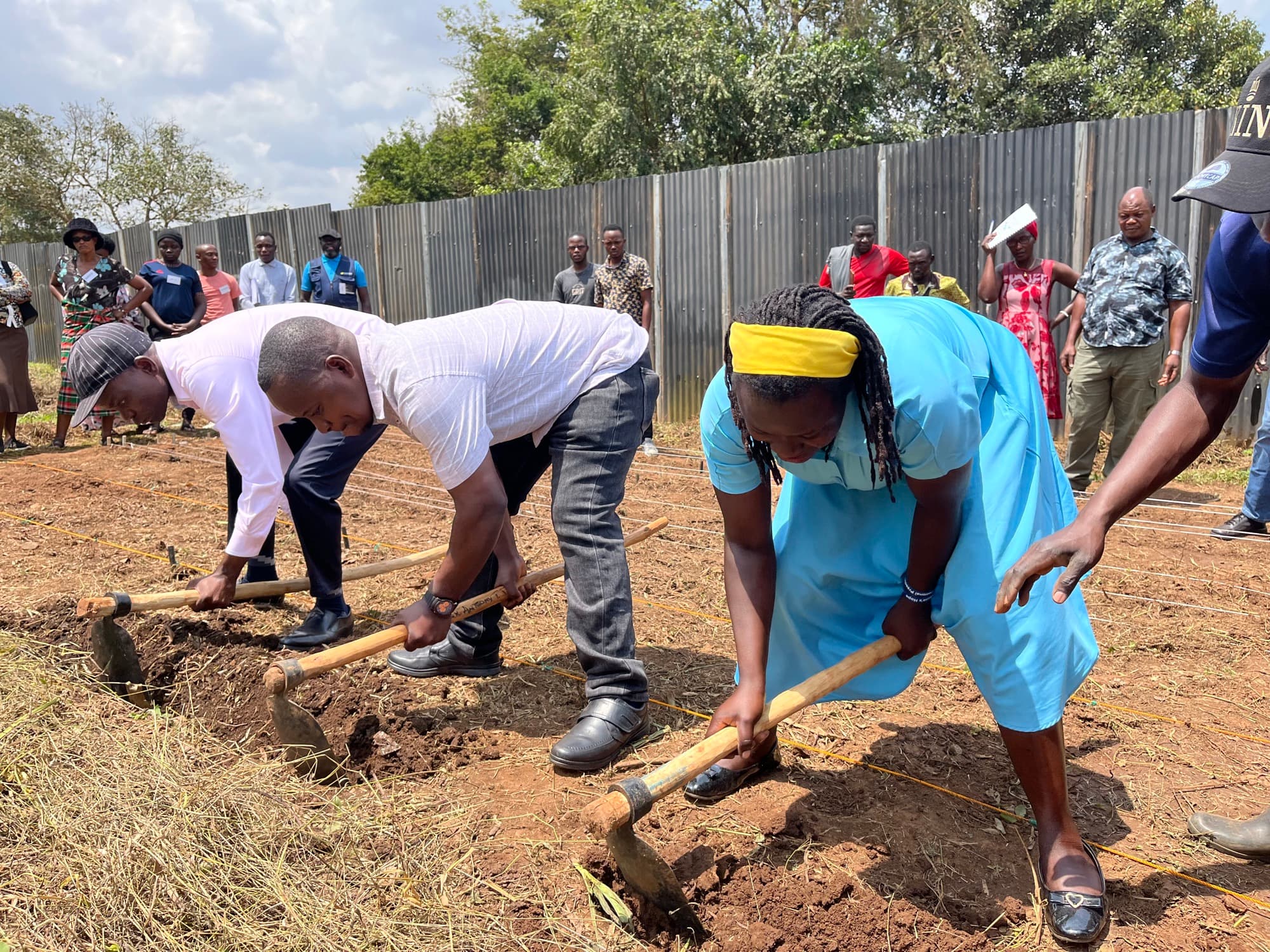 Two trainees using hoes to open planting furrows along a line of string while other participants watch from the edge of the plot.